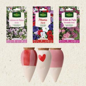 Kit semis de 3 fleurs + Trio Mini Ollas
